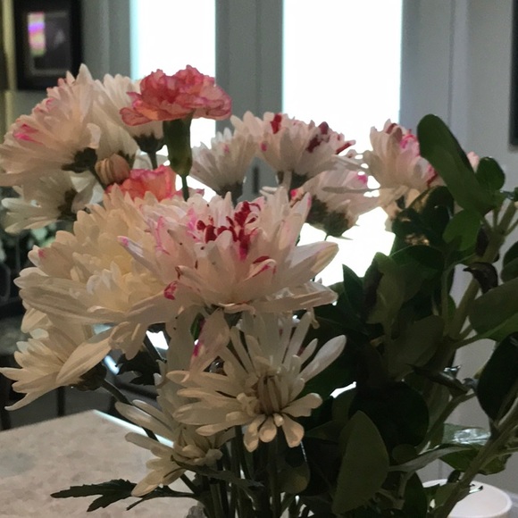 Meet your Posher, Dena - Picture 1 of 1